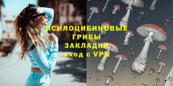 МДПВ Абдулино