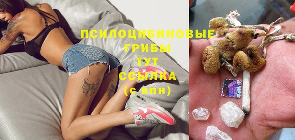 дживик Абаза