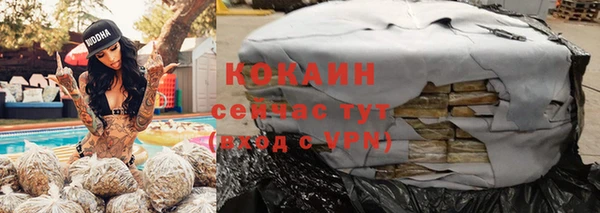 дживик Абаза