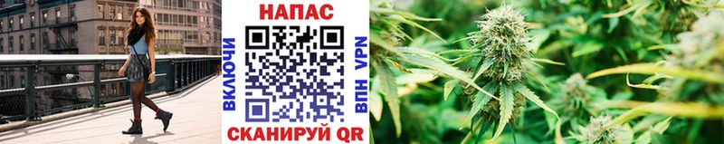 mega рабочий сайт  это наркотические препараты  Бошки марихуана тримм  Сальск 